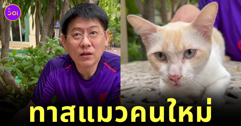 สรยุทธ เจอแมวจร