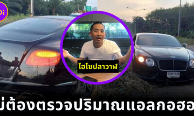ตั้งข้อหาไฮโซปลาวาฬ