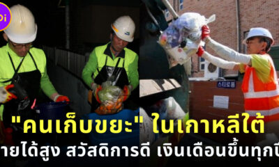 รู้หรือไม่ คนเก็บขยะ เป็นอาชีพราชการรายได้สูงในเกาหลีใต้ แถมเงินเดือนขึ้นทุกปี!