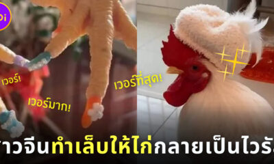 สาวจีนทำเล็บสวยให้ไก่หนุ่มจนกลายเป็นไวรัลบนโลกโซเชียล