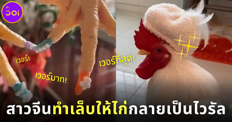 สาวจีนทำเล็บสวยให้ไก่หนุ่มจนกลายเป็นไวรัลบนโลกโซเชียล