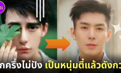 หลิวฮ่าวหยาง พระเอกลุกครึ่งศัลยกรรมเป็นหนุ่มตี๋แล้วดังกล่าว