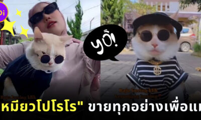 โปโรโร พ่อค้าเหมียวออนไลน์ ขายทุกอย่างเพื่อแม่ 2