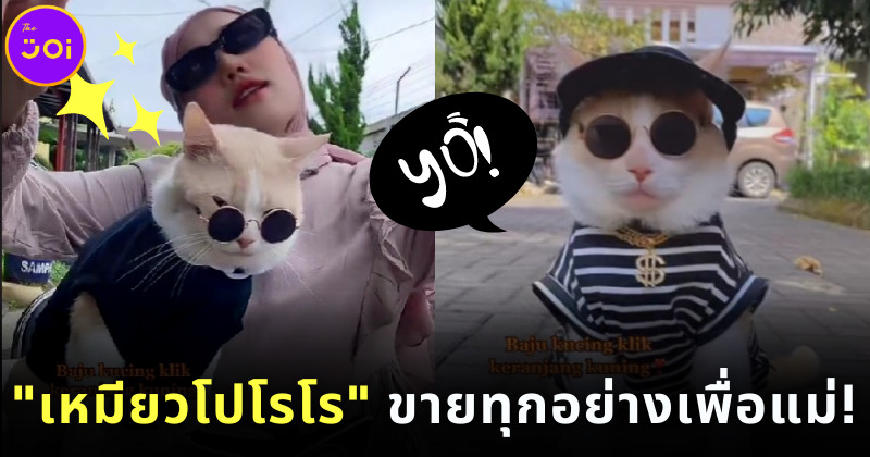 โปโรโร พ่อค้าเหมียวออนไลน์ ขายทุกอย่างเพื่อแม่ 2