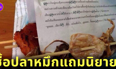ซื้อปลาหมึกแถมนิยาย