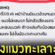 ทาสแมว