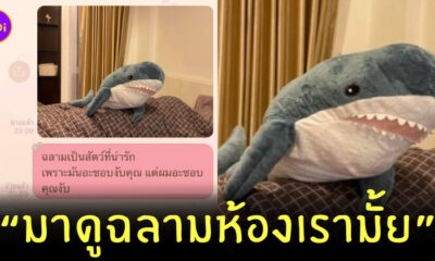 มุกจีบ มาดูฉลามที่ห้องเรามั้ย