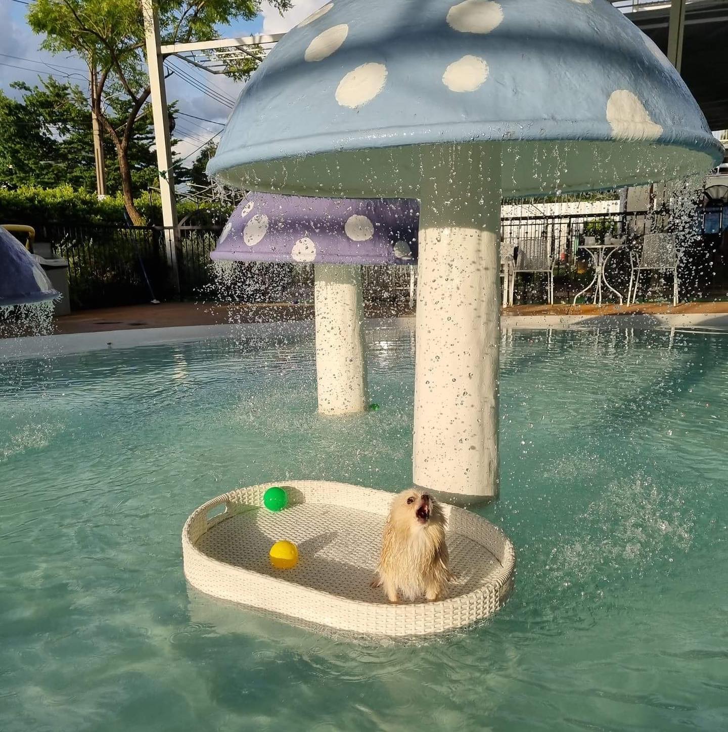 Doquabistro