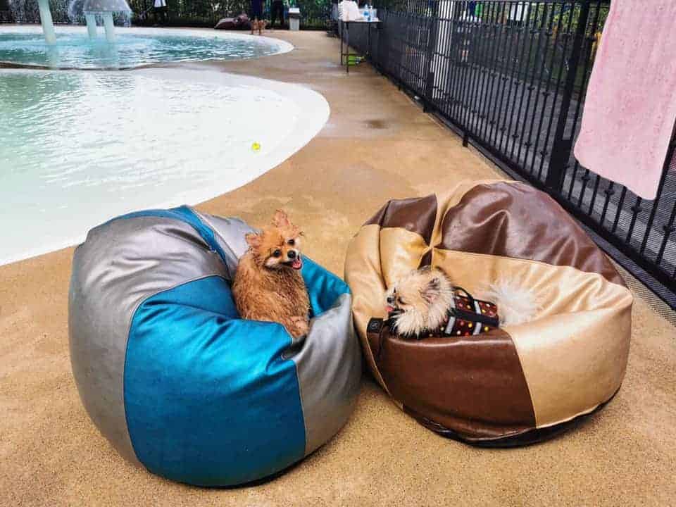 Doquabistro