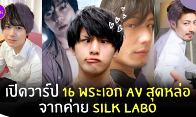 พระเอก AV หล่อ silk labo