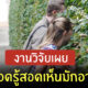 คนขี้นินทา อายุยืน