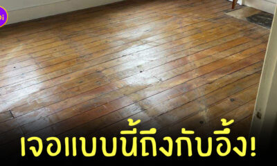 บ้านใหม่ สัญลักษณ์ดาว 5 แฉก