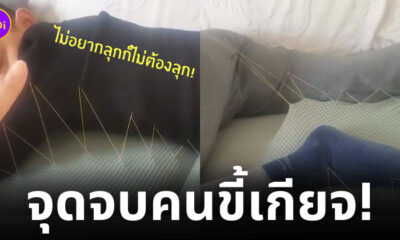 แก้แค้นสามีขี้เกียจ