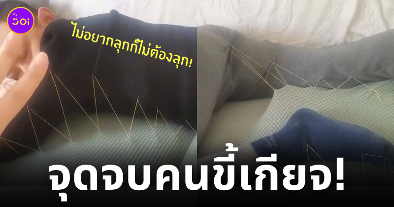แก้แค้นสามีขี้เกียจ
