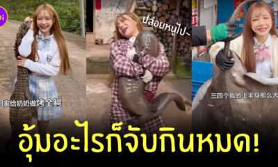 JingJing TV Food คือ