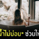 Fleem Template The Joi FBWebsite 3