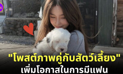 รูปบนทินเดอร์ สัตว์เลี้ยง
