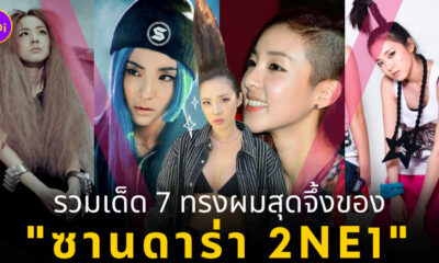 ทรงผมซานดาร่า