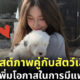 รูปบนทินเดอร์ สัตว์เลี้ยง