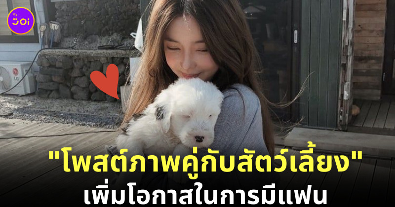 รูปบนทินเดอร์ สัตว์เลี้ยง