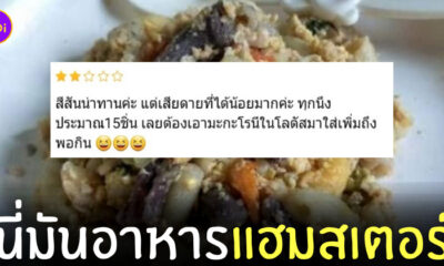 รีวิวอาหาร สัตว์เลี้ยง แฮมสเตอร์