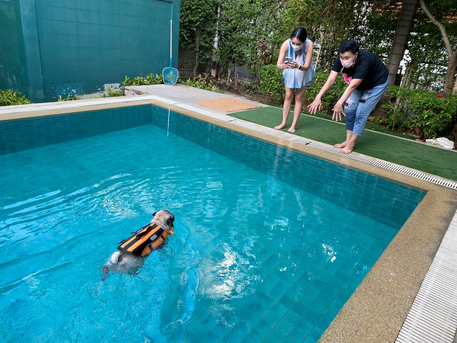 iTube dog swimming pool 3