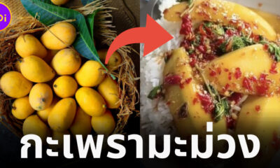 กล้ากินมั้ย พ่อค้าอาหารตามสั่งจัด ผัดกะเพรามะม่วง โหนกระแสข้าวเหนียวมะม่วงฟีเวอร์