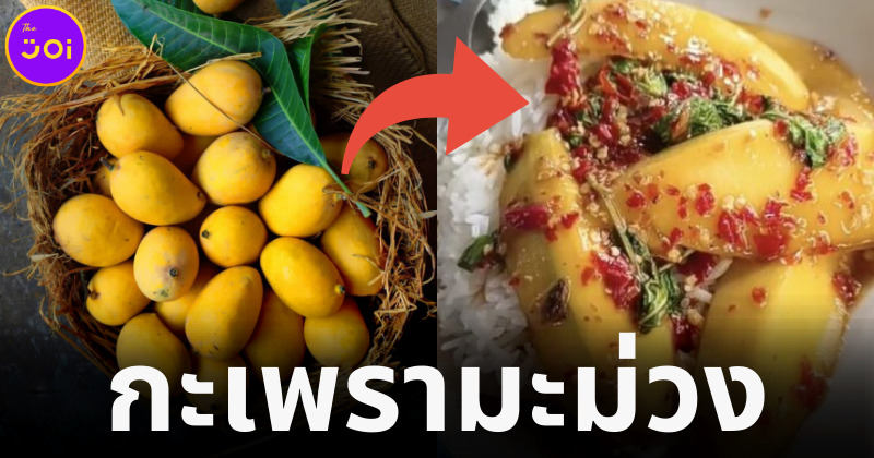 กล้ากินมั้ย พ่อค้าอาหารตามสั่งจัด ผัดกะเพรามะม่วง โหนกระแสข้าวเหนียวมะม่วงฟีเวอร์