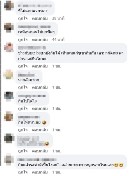 ซึ่งต่อมาแฟนเพจเฟซบุ๊ก TikTok หิวแล้วต้องกิน ได้นำคลิปดังกล่าวมาแชร์ต่อ ทำให้มีชาวเน็ตจำนวนมากเข้ามาแสดงความคิดเห็นอย่างหลากหลาย อาทิ ต้องลอง, อย่าหาทำ, กินได้ครับ, ต้องลองๆ ทำ, ที่บ้านปู่​กับย่าชอยกินมะม่วงสุกกับข้าวราดน้ำปลาพริกบางทีก็กินกับแตงโม, ข้าวกับมะม่วงสุกยังกินได้ เห็นคนแก่ๆ เขากินกัน เอามาผัดกะเพาก็น่าจะกินได้นะ, เหมือนตอนไข่มุกพีคๆ, กินแล้วรสชาติเป็นไงคะ?…คล้ายกะเพราหมูกรอบไหมเอ่ย