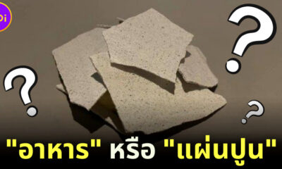 นี่มันแผ่นปูนหรืออาหาร ชาวเน็ตถกสนั่นร้านอาหารหรูในญี่ปุ่นเสิร์ฟเมนูอิหยังวะ