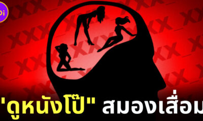 เอาแล้วไง! วิจัยเผยดูหนังโป๊ทำให้ความจำเสื่อม