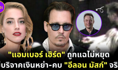 แอมเบอร์ เฮิร์ดถูกแฉแอบคบอีลอน มัสก์ และไม่นำเงินหย่าไปบริจาค