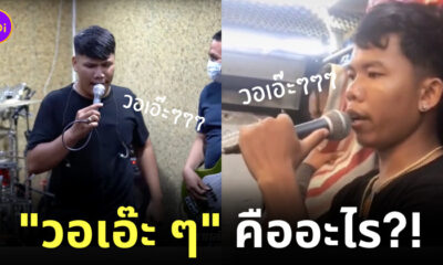 โอเคอาร์ยูเรดดี้ แปลว่า