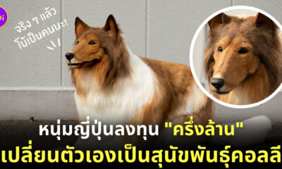 คนกลายเป็นหมา