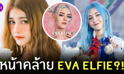น้องชิพ Elizent