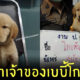 ตามหาเจ้าของหมาโกลเด้น
