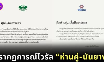ห่านคู่-นันยาง ไวรัล