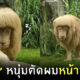 สิงโตหน้าม้าเต่อ
