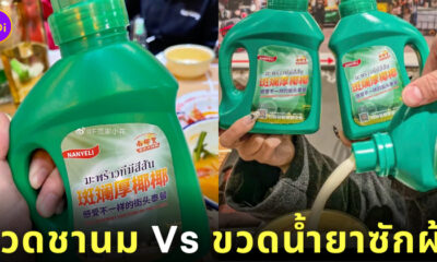 ขวดชานมเหมือนขวดน้ำยาซักผ้า