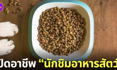 นักชิมอาหารสัตว์