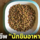 นักชิมอาหารสัตว์