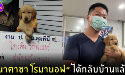 หมาโกลเด้นเจอเจ้าของแล้ว