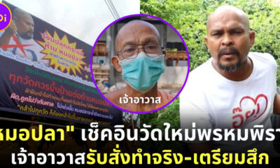 หมอปลาบุกวัดใหม่พรหมพิราม เจ้าอาวาสรับสั่งทำ เตรียมสึก