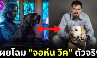 หนัง จอห์น วิค (John Wick) สร้างจากเรื่องจริงของอดีตหน่วยรบ Navy SEAL สหรัฐฯ