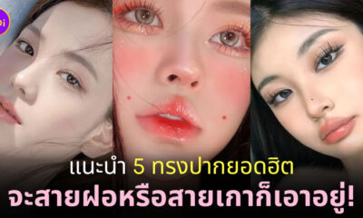 Fleem Template The Joi FBWebsite 2 5