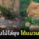 Fleem Template The Joi FBWebsite 2