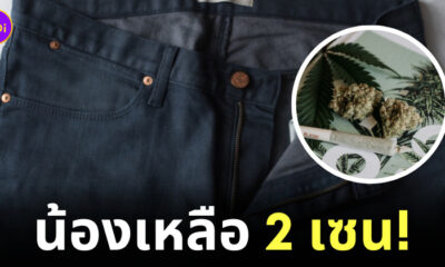 เมากัญชา ตัดอวัยวะเพศ