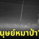 สัตว์ประหลาด อเมริกา