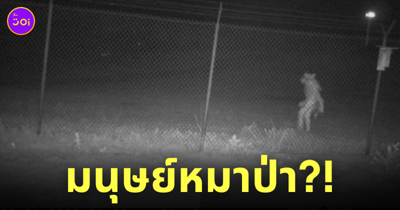 สัตว์ประหลาด อเมริกา