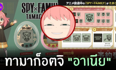 ทามาก็อตจิ อาเนีย